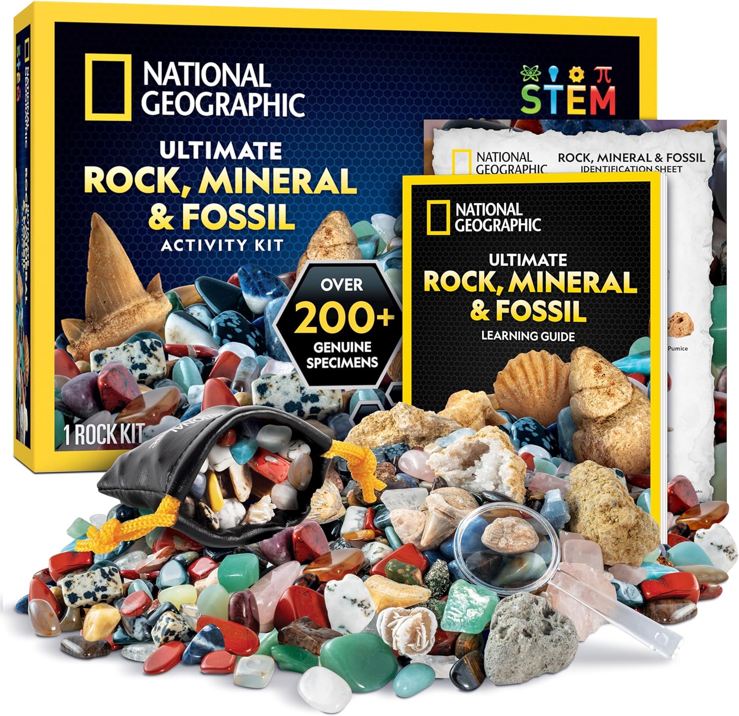 Rock Mineral and Fossil